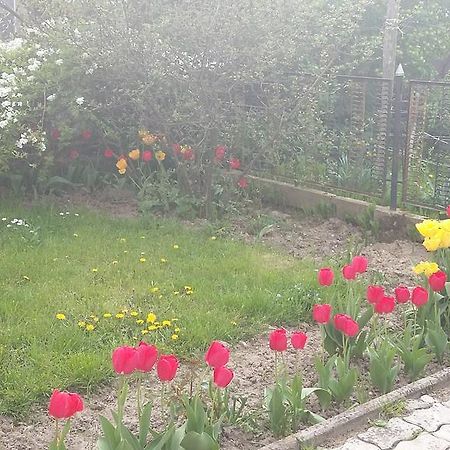 Alom Kucko Apartman Zalaegerszeg Eksteriør billede