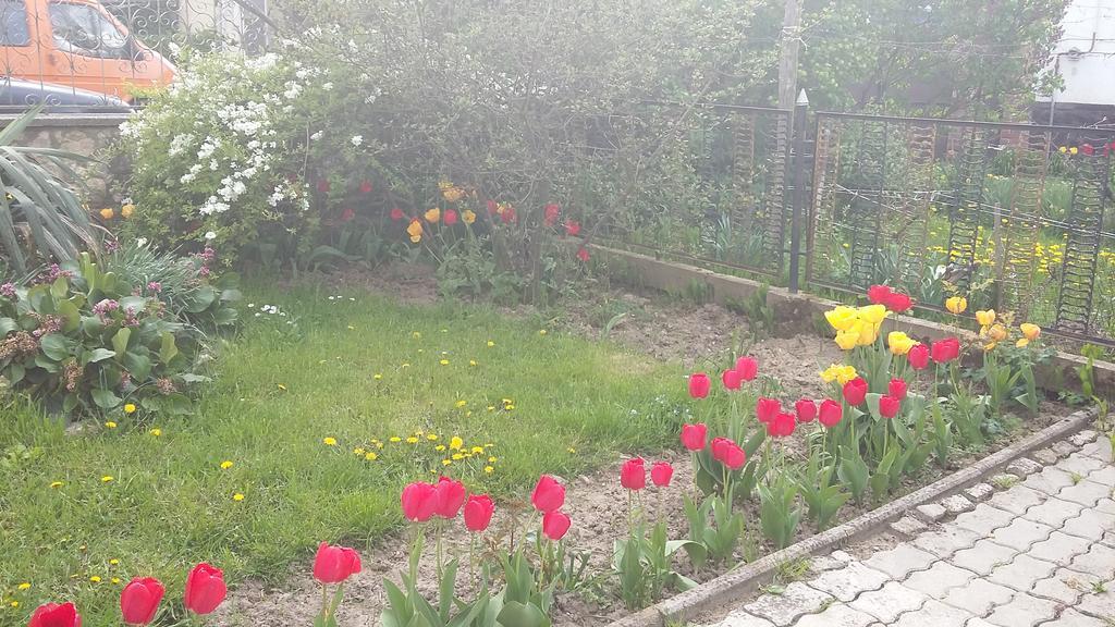 Alom Kucko Apartman Zalaegerszeg Eksteriør billede
