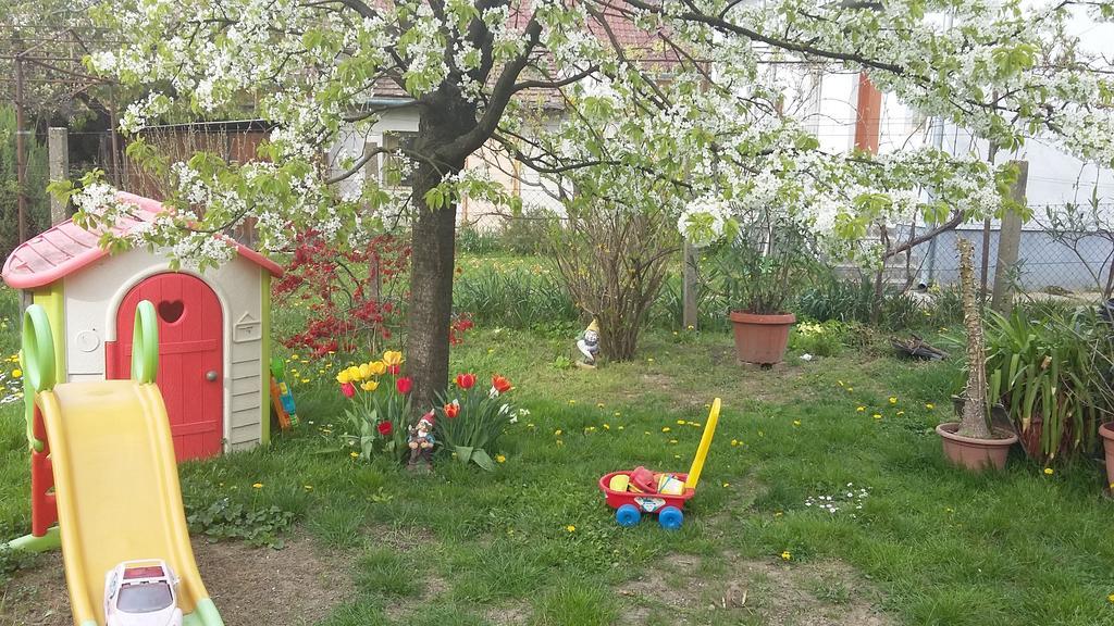 Alom Kucko Apartman Zalaegerszeg Eksteriør billede